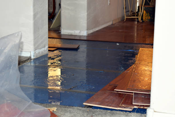 Professional Emergency Water Damage Restoration technician working in East Springfield, OH